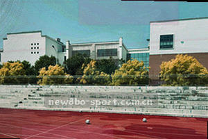 篮球赛事数据分析场景